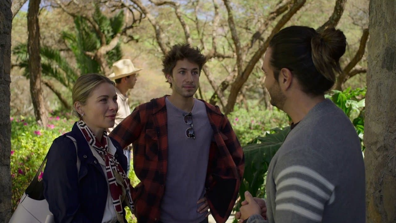 Mejores Peliculas de los 2020s