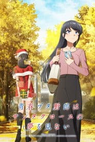 Rascal Does Not Dream of Santa Claus