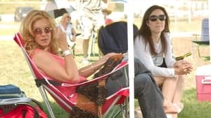 No puedes fallar con el oso