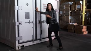 Cadena de autenticidad