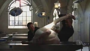 Sangre, sudor y lágrimas