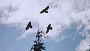 La Cosecha de Dinero