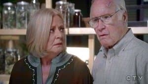 En el que Addison celebra una fiesta muy informal