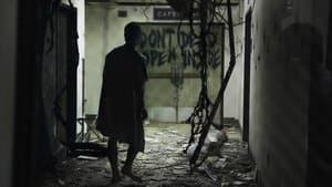 Los días transcurridos