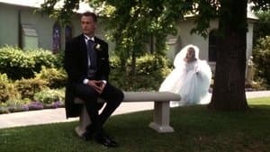 Todo lo Viejo Vuelve a Ser Nuevo