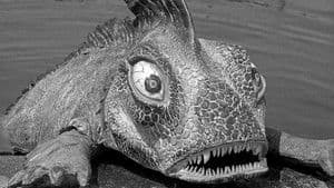 Atracción Turística