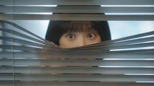 Sr. Sal, Sra. Pimienta y abogada Salsa de Soya