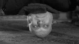 Apasionado romance de Tío Fétido