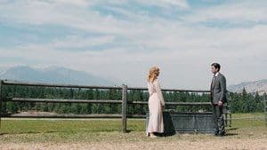 No quedan caballos buenos