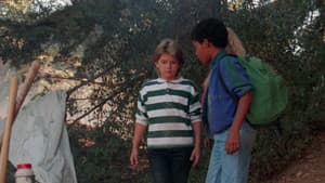 Mensaje en una botella