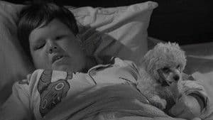 Morticia y el Psiquiatra