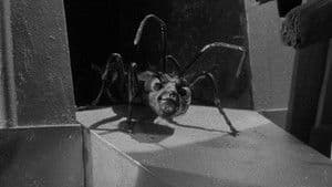 El Castigo de los Zanti