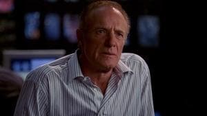 El verano de la marmota