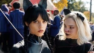 La tristeza es solitaria