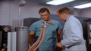 ¿Alguien aquí visto Jeannie?