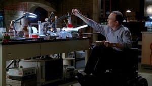 Bajo la luz de la luna