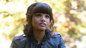 La vida de una Provecta