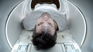 El viaje de una vida