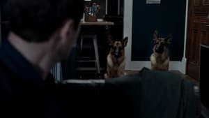 Perseguido por el pasado