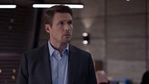 El cuidador de mascotas