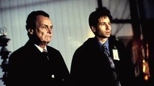 Ente Biológico Extraterrestre (E.B.E.)