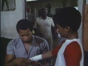 El retorno del Jinete Enmascarado