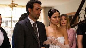 Los pajaritos se casan