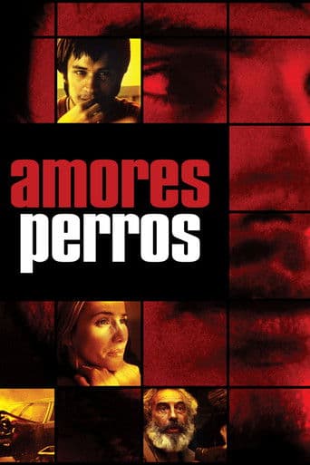 Amores perros poster