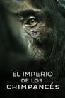 El imperio de los chimpancés