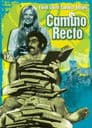 Camino recto