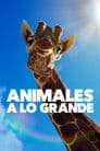 Animales a lo grande