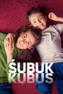 Śubuk