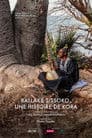 Ballaké Sissoko, Kora Tales