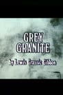 Grey Granite