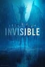 Invisible