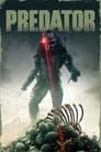 Predator