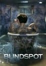 Blindspot