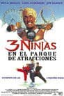 3 ninjas en el parque de atracciones