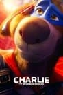Charlie el superperro