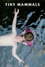Tiny Mammals