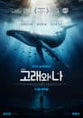 극장판 고래와 나