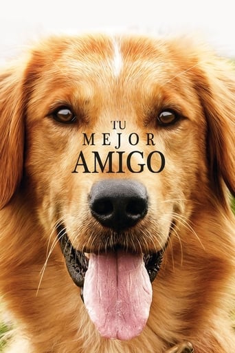 Tu mejor amigo poster