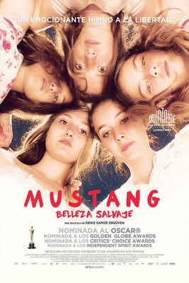 Mustang poster