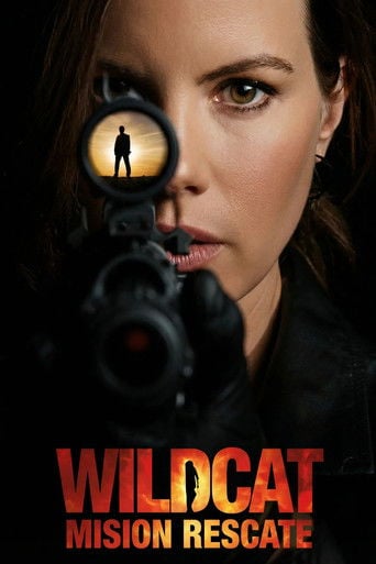 Wildcat: Misión Rescate poster
