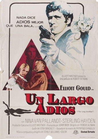 Un largo adiós poster