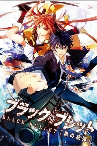 Black Bullet poster