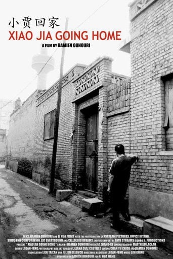 Xiao Jia rentre à la maison poster