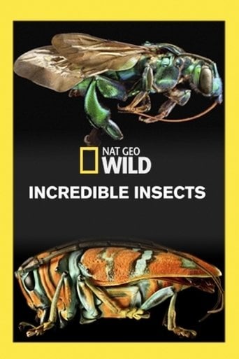 Insectos increíbles poster