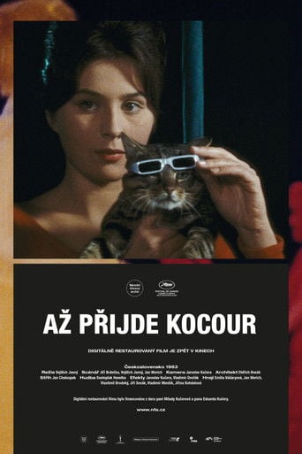 El gato de Cassandra poster