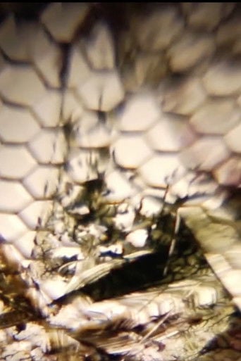 Ken Jacobs / Tom Chiu of Flux Quartet @ The Nervous Magic Lantern Festival poster